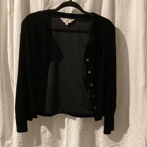 Black velvet bolero